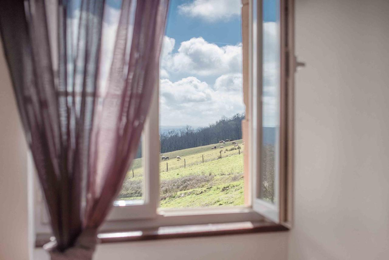 Chambres D'Hotes Le Pignie Lescure-d'Albigeois Bagian luar foto